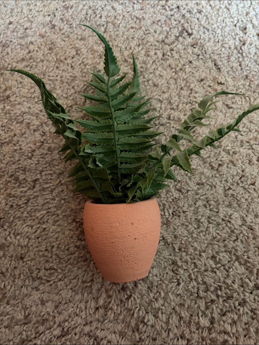 Terracotta Mini Planter with Green Fern Accent - Home Accents